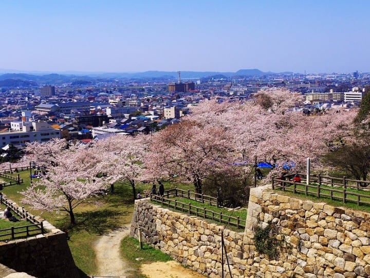 Seasonal Events In Tottori | Tottori Tourism Guide