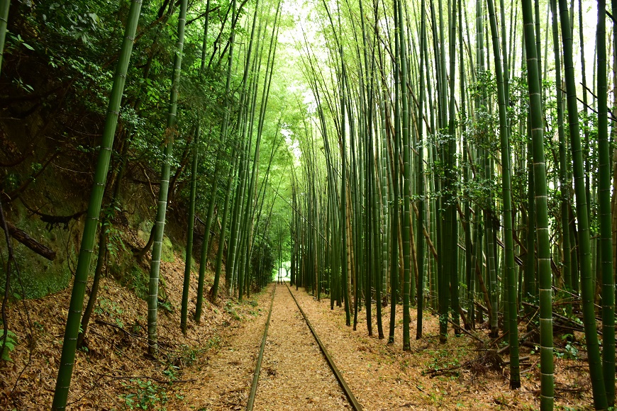 Walk Along Lonely Railroad Tracks