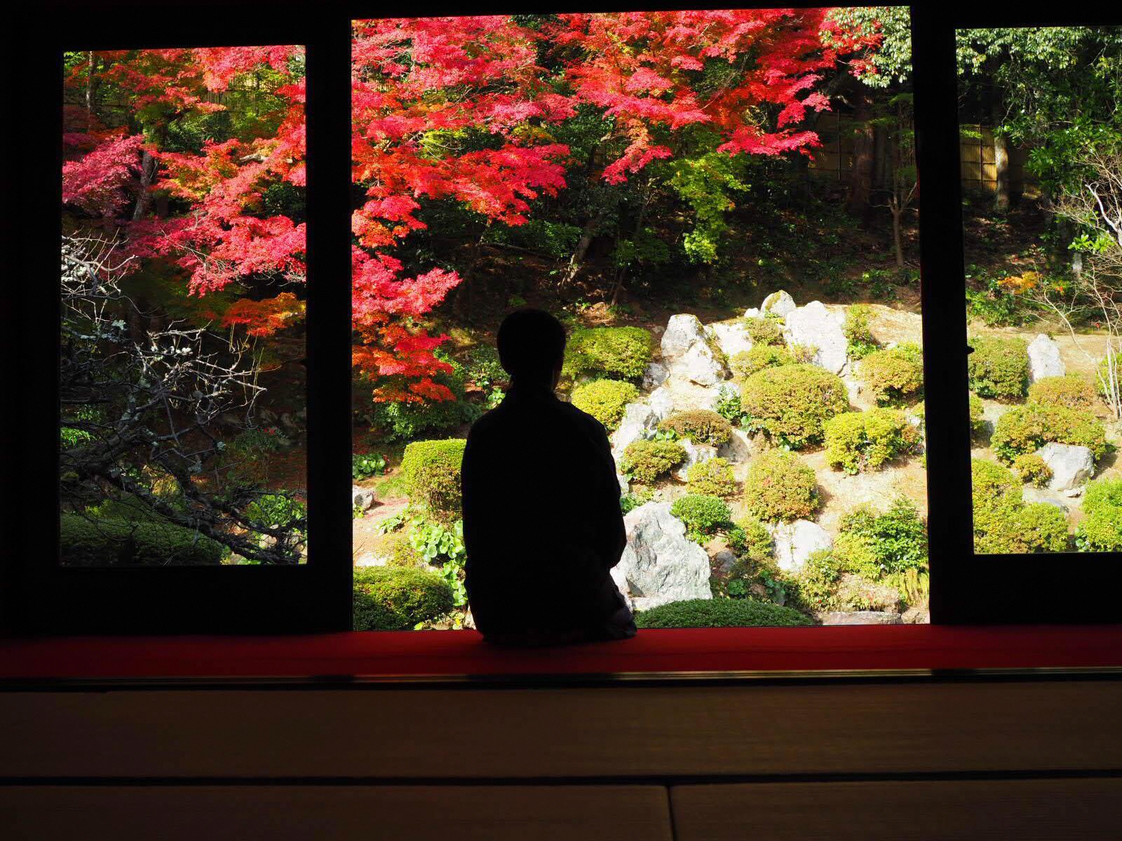 鳥取紅葉地圖 鳥取縣觀光導覽 鳥取紅葉地圖 鳥取縣觀光導覽
