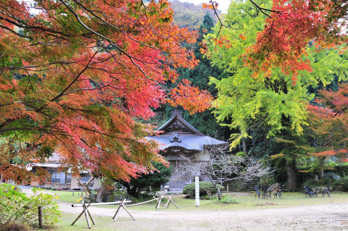 鳥取紅葉地圖 鳥取縣觀光導覽 鳥取紅葉地圖 鳥取縣觀光導覽